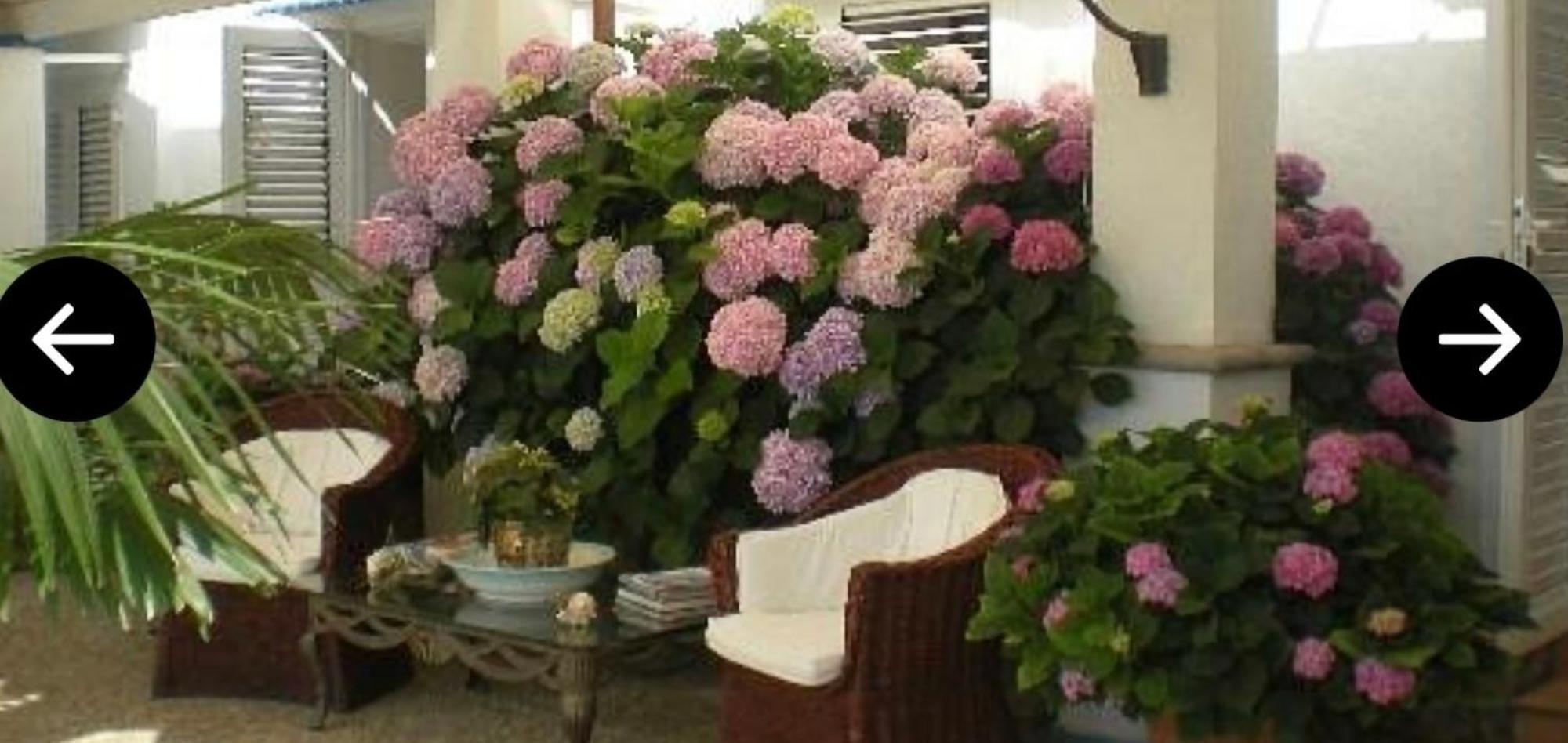 Bb La Guardiia Bed & Breakfast Анакапри Екстериор снимка